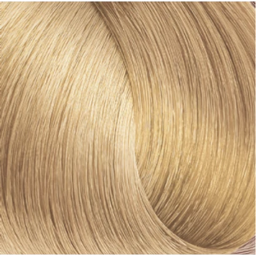 EXPERTIA HAIR COLOR 100ML 10.13 AMBER PLATINUM BLONDE