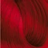 Picture 1/2 -EXPERTIA HAIR COLOR 100ML 6.66 INTENSE DARK RED BLONDE